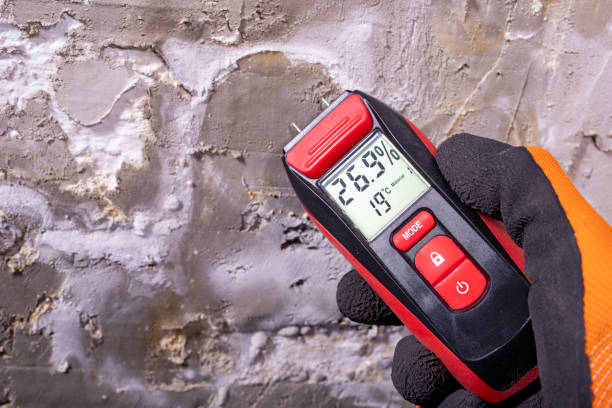 Best Professional Mold Removal  in Strawberry Point, IA